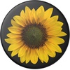 PopSockets Phone Grip for MagSafe, Magnetic Holder- Monarch(Seed Money)