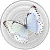 PopSockets Phone Grip for MagSafe, Magnetic Holder- Monarch(Whisper Moth)
