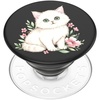 Pretty Kitty